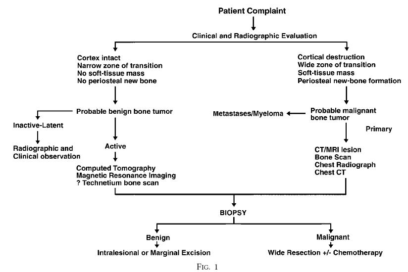 Bone tumours general 1